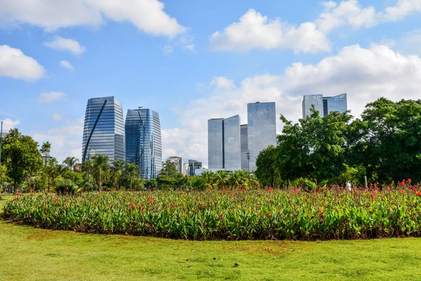 Modern binalar Sao Paulo Parque görünümünden yapmak Povo
