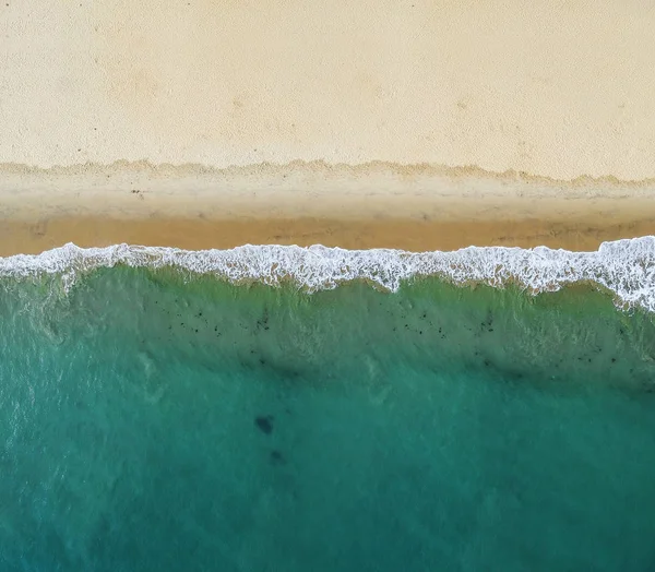 Yukarıdan tropikal paradisiac beach