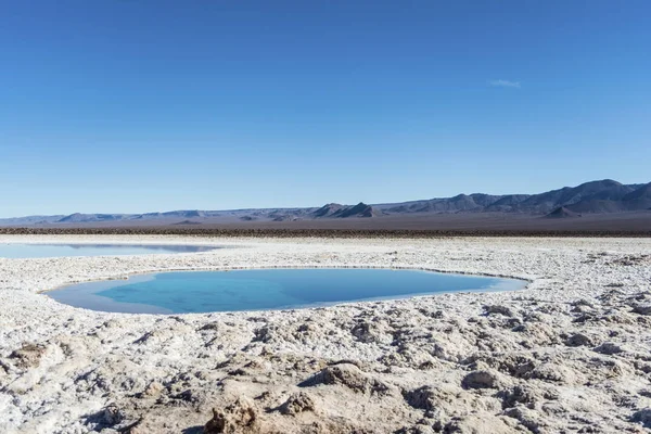 Lagunas Escondidas de Baltinche, Atacama Çölü 'nde tuz gölleri, Şili