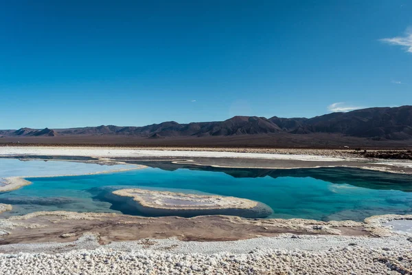 Lagunas Escondidas de Baltinche, Atacama Çölü 'nde tuz gölleri, Şili