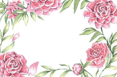 Şakayık çiçekleri güzel suluboya bileşimi. Suluboya