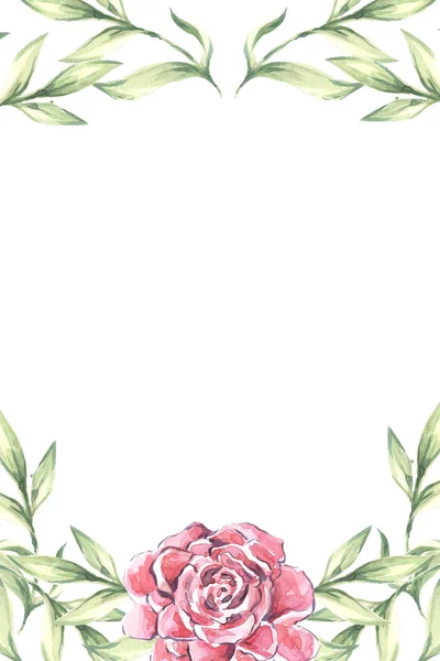 Bazsarózsa Virágok Gyönyörű Akvarell Összetétele Akvarell — Stock Fotó