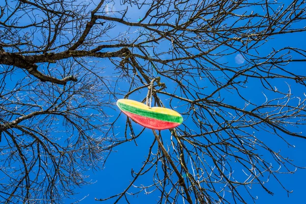 Wooden Heart Flag Lithuania Hangs Tree Sunny Spring Day Background — Stock Photo, Image