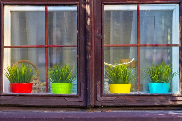 Sunlit old wooden window. Four colored yellow, red, green, blue pots with plants behind the dirty glass.