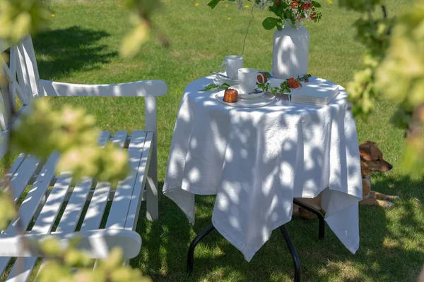 Sielankowy Dla Dwojga Ogrodzie Ciepłym Słonecznym Dniu Wiosennym Serwowany Stolik — Zdjęcie stockowe