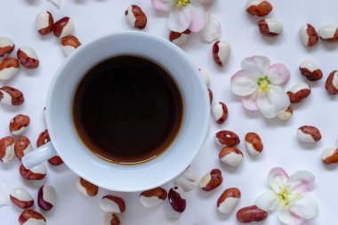 Renkli fasulye, Phaseolus vulgaris ve elma çiçekleri, Malus, masada sıcak kahve Fincan. Düz döşeme, üst görünüm.