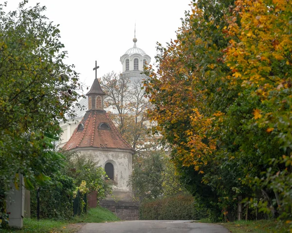 Gatan Genom Staden Suderve Litauen Mot Klocktornet Den Heliga Treenighetskyrkan — Stockfoto