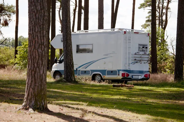 Motorhome Parking Forest — Stock Photo, Image