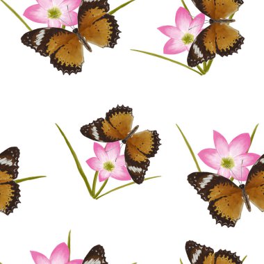 Kelebek ve Çiçek vektörbeyaz arka plan.baskı için tüm grafik