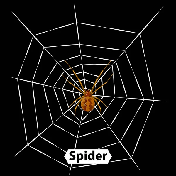 Pavouk Pavučina Ilustrace Izolovaný — Stockový vektor
