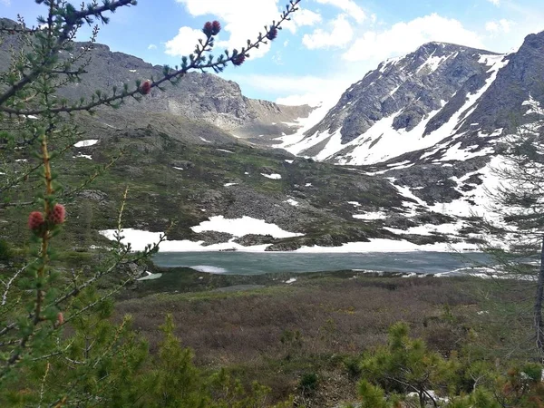 Altai Gebirge Sibirien Sommer Russische Natur Berge Fluss Schnee — Stockfoto