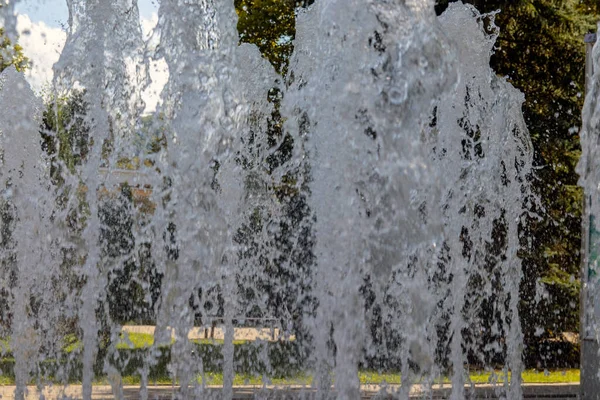 Ağaçların arka planında sudan yapılmış fıskiye duvarı.