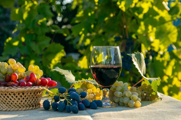 桌上和篮子里有许多新鲜的葡萄和一杯葡萄酒 有选择的重点 — 图库照片