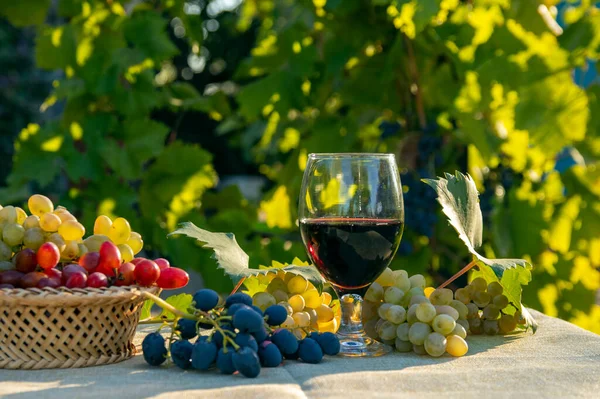 Surtido Uvas Frescas Una Copa Vino Mesa Canasta Enfoque Selectivo —  Fotos de Stock