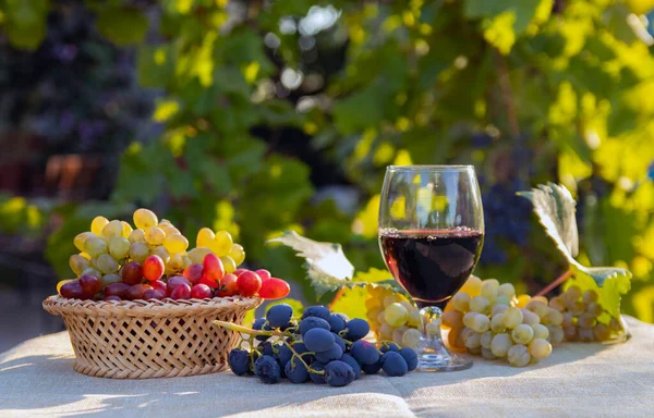 Raisins Dans Panier Verre Vin Sur Une Table Dans Jardin — Photo