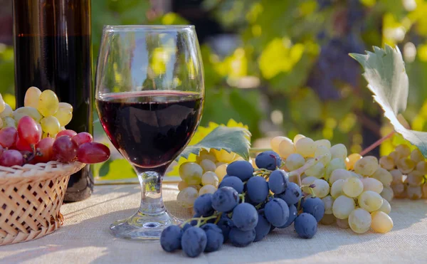 Raisins Dans Panier Verre Vin Sur Une Table Dans Jardin — Photo