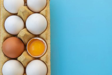 Yumurta kutusundaki tavuk yumurtaları ve kenevirin arka planında yumurta sarısı. kopyalama alanı. Doğal sağlıklı beslenme ve organik tarım kavramı. Boks yumurtaları