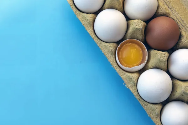 Egg, chicken egg in a tray on a blue background. Close-up.