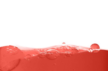 Hangi zam yaşam mercan dan su sualtı kabarcıklar makro resmi gösterir