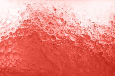 Hangi zam yaşam mercan dan su sualtı kabarcıklar makro resmi gösterir