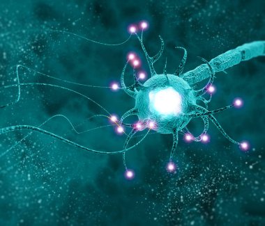 SYNAPSE bir elektrik ya da kimyasal sinyal geçmek bir nöron (veya sinir hücresi) başka bir nöron veya hedef efferent hücre için izin veren bir yapıdır. Sinir sistemi, beyin
