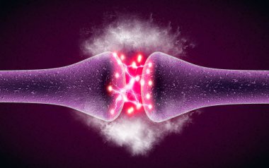 SYNAPSE bir elektrik ya da kimyasal sinyal geçmek bir nöron (veya sinir hücresi) başka bir nöron veya hedef efferent hücre için izin veren bir yapıdır. Sinir sistemi, beyin