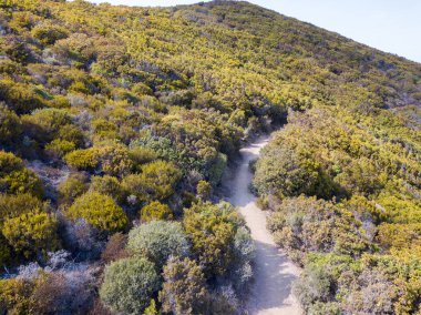 Yolun gümrük memurları, bitki örtüsü ve Akdeniz bush, Corsica, Fransa hava görünümünü. Deniz ve yukarıda da görüleceği bitki örtüsü, taş ve kayalar. Sentier du Douanier. Capo Corso