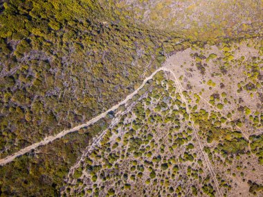 Yolun gümrük memurları, bitki örtüsü ve Akdeniz bush, Corsica, Fransa hava görünümünü. Deniz ve yukarıda da görüleceği bitki örtüsü, taş ve kayalar. Sentier du Douanier. Capo Corso