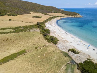Tamarone beach, Plage de Tamarone, Cap Corse Yarımadası, Macinaggio, Korsika, Fransa'nın havadan görünümü