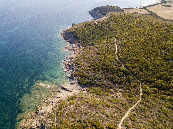 Luftaufnahme Des Weges Der Zollbeamten Vegetation Und Mediterraner Busch Korsika — Stockfoto