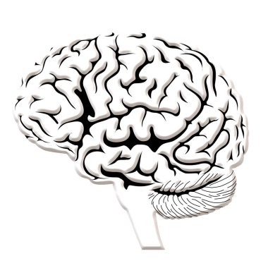 Dejeneratif hastalıklar, Parkinson, beyin synapses, nöronlar, Alzheimer