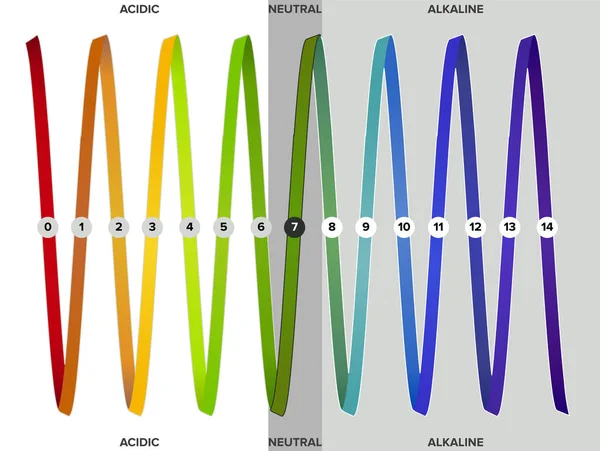 Measurement Scale Helix Infographics All Steps Acid Neutral Alkaline Logarithmic — Stock Vector