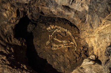 Hırvatistan, 26/06/2018: ilk 1699 kaydedildi, mağaralar, Barac (Baraceve spilje), içinde eski sakini bir ayı kalıntıları yakın: Plitvice Gölleri alanında Nova Krlja Köyü