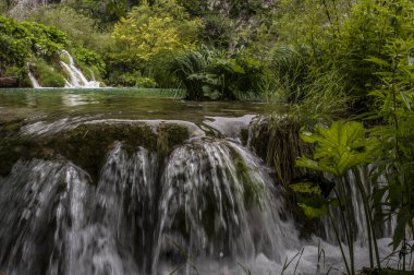 Hırvatistan, 28/06/2018: şelaleler, Plitvice Gölleri Milli Parkı, devlet merkezi Hırvatistan Bosna-Hersek sınıra en dağlık karstik alanında en büyük parklarından biri olan