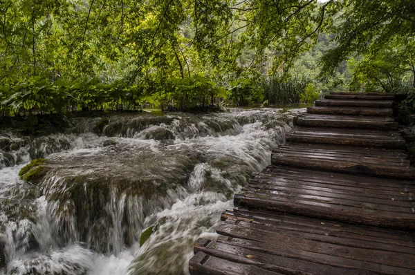 Kroatië 2018 Een Houten Loopbrug Plitvice Lakes National Park Één — Stockfoto