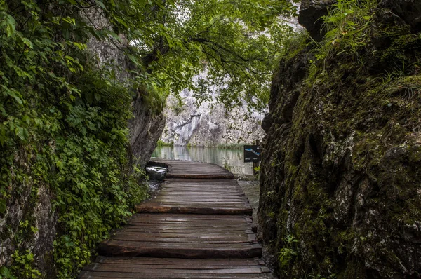 クロアチア 2018 木製の通路でプリトヴィッツェ湖群国立公園 中央クロアチア ボスニア ヘルツェゴビナとの国境でのカルスト山岳地域 州で最も古い公園の一つ — ストック写真