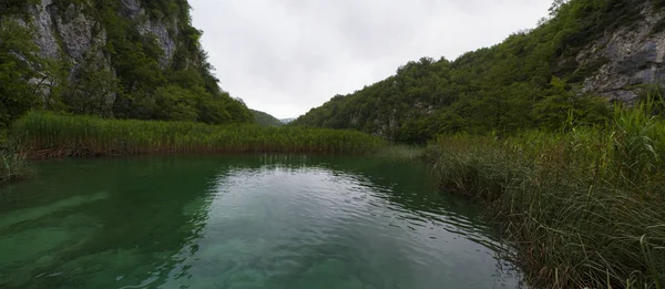 Kroatien 2018 Vegetation Och Sjön Plitvice Lakes National Park Äldsta — Stockfoto