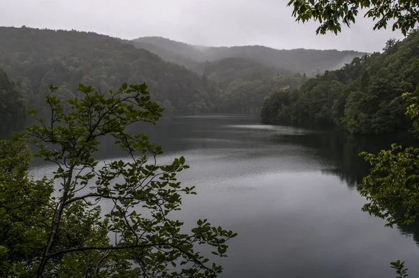 Kroatien 2018 Vegetation Och Sjön Plitvice Lakes National Park Äldsta — Stockfoto