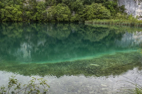 Kroatien 2018 Vegetation Och Sjön Plitvice Lakes National Park Äldsta — Stockfoto