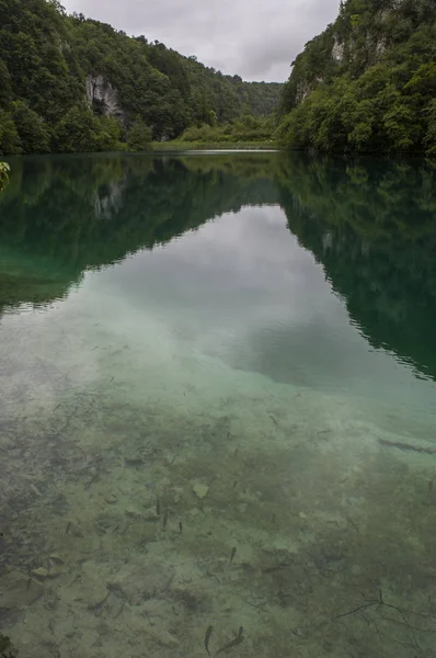 Kroatien 2018 Vegetation Och Sjön Plitvice Lakes National Park Äldsta — Stockfoto