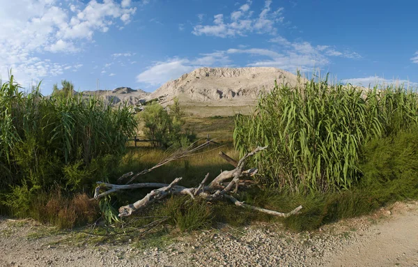 Croatia, 30/06/2018: panoramic view from the road on the island of Pag, the fifth-largest island of the Croatian coast in the northern Adriatic Sea and the one with the longest coastline