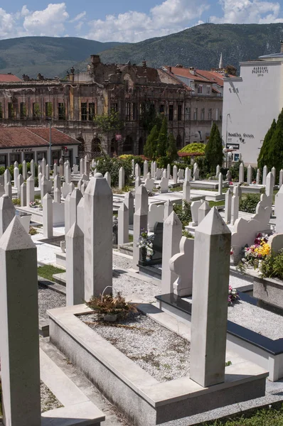 波斯尼亚 2018 烈士墓地周围的建筑物被毁在二十世纪九十年代冲突中的墓地附近 Nesuh Vucijakovic 清真寺 Dzamija Lipom 清真寺下的椴树 — 图库照片