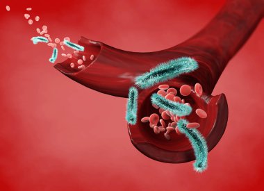 Ven ve kırmızı kan hücreleri bir virüs, bakteri içinde bir arter dolaşımını tarafından saldırıya uğradı. Escherichia coli. Bir damar bölümü. 3D render