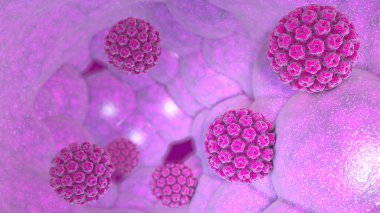 HPV enfeksiyonu. Virüs. HPV en yaygın cinsel enfeksiyon genel olarak bulaşan olduğunu. İnsan papilloma virüsü, papilloma virüsü Aile, 3d render bir Dna virüsü HPV enfeksiyonu neden olur