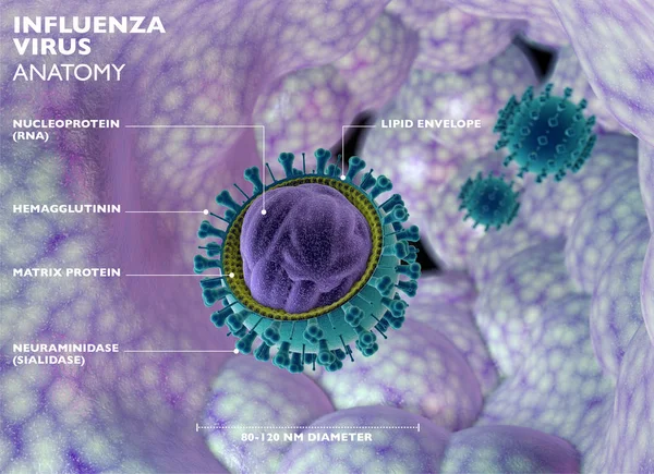 Virus Grippe Grippe Est Une Maladie Infectieuse Causée Par Virus — Photo