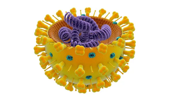 Griepvirus Griep Een Besmettelijke Ziekte Veroorzaakt Door Een Influenzavirus Voorkomende — Stockfoto