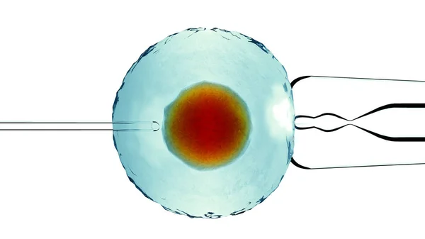 人工受精或辅助受精是通过显微镜下的观察 在三维渲染下人工进行配子结合的过程 — 图库照片
