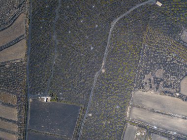 Lanzarote Adası, ovalar ve tepelerde hinterland, volkanlar ufukta volkanik topraklar arazisi şarap hava görünümünü. Kanarya Adaları, İspanya. Şarap üretimi