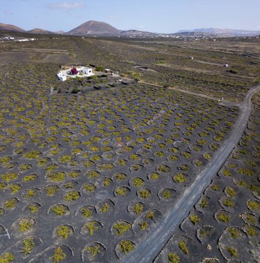 Lanzarote Adası, ovalar ve tepelerde hinterland, volkanlar ufukta volkanik topraklar arazisi şarap hava görünümünü. Kanarya Adaları, İspanya. Şarap üretimi