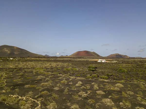 Légi Felvétel Bor Termesztett Veteményhez Vulkanikus Talajon Lanzarote Szigetén Síkságok — Stock Fotó